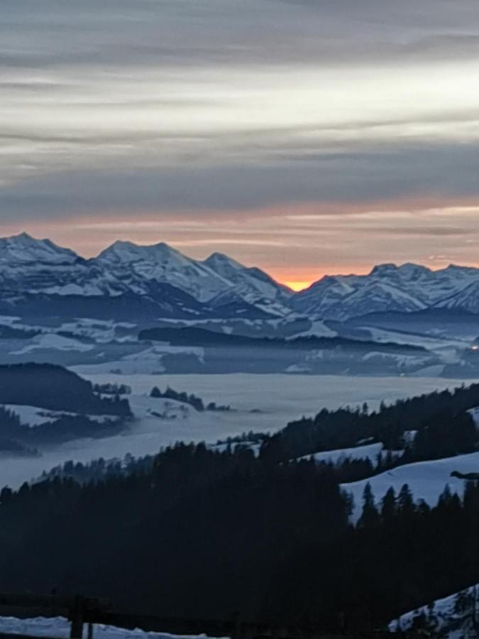 Barnsicht Panorama Hotel Wasen Zewnętrze zdjęcie